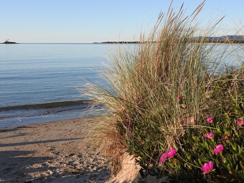 Moomba Holiday And Caravan Park Hotell Port Sorell Exteriör bild